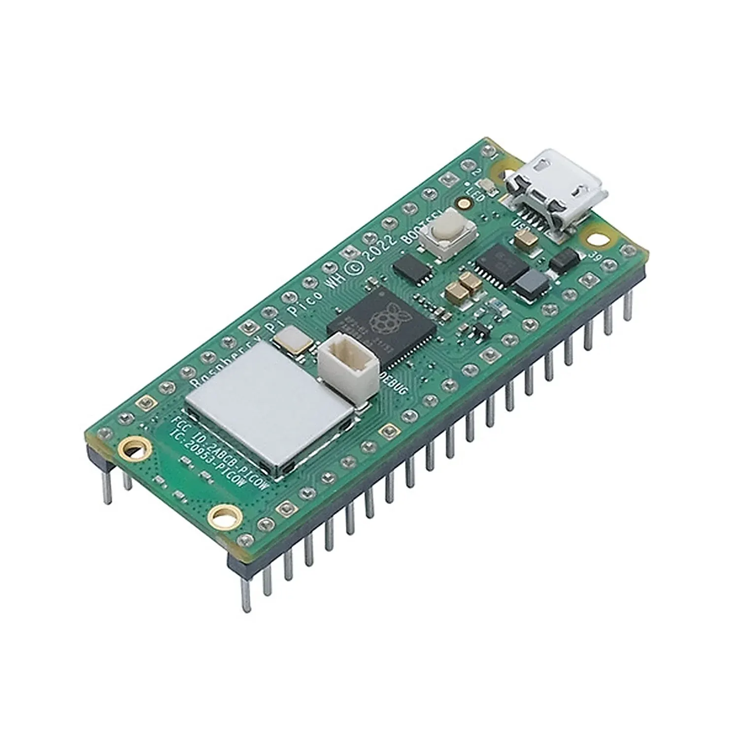 Raspberry Pi Pico W